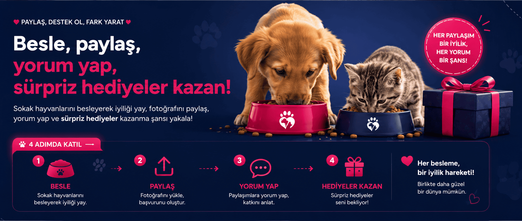 Rekapet sokak hayvanlarını besle paylaş Rekabet sitesinden ödülü kap