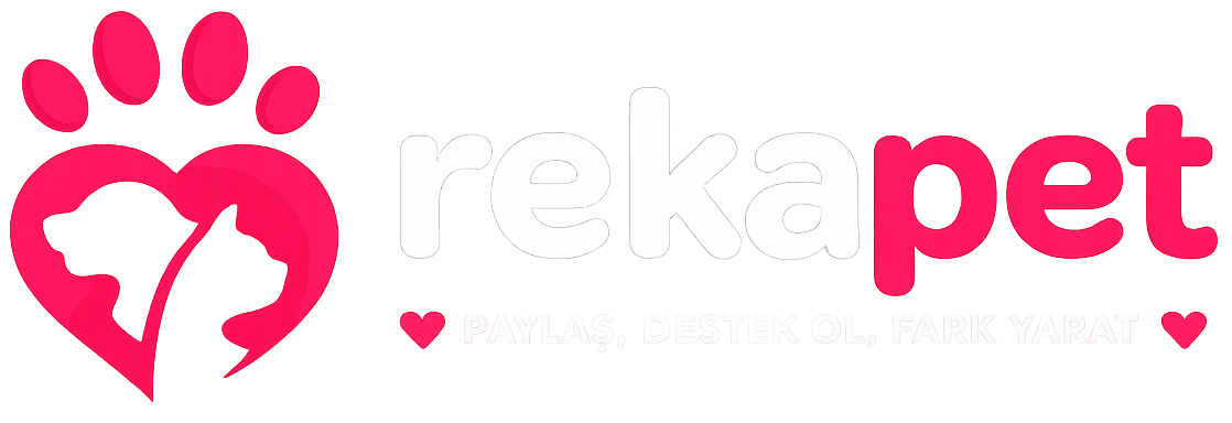 Rekapet Logo